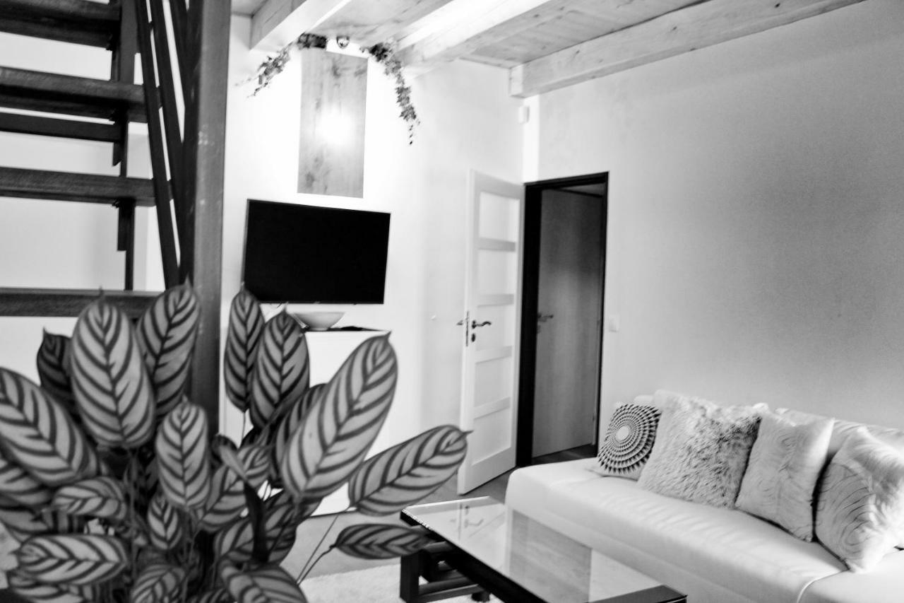 Apartmany Ztracena Roudnice nad Labem Buitenkant foto